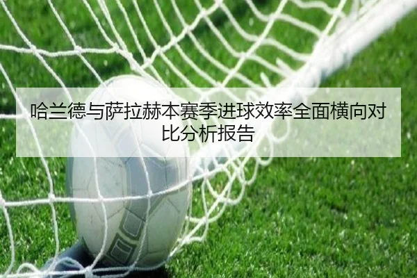 哈兰德与萨拉赫本赛季进球效率全面横向对比分析报告